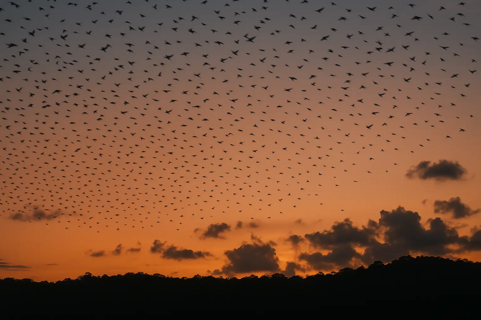 Parrot Island near Baratang at sunset