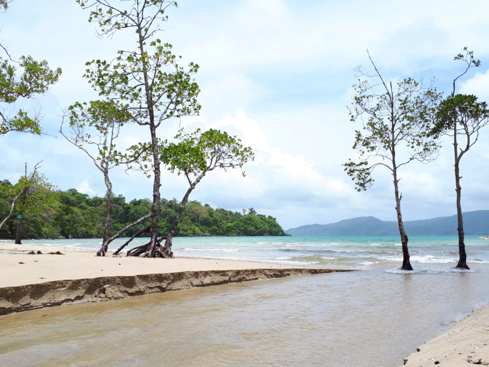 Island Trails image 1