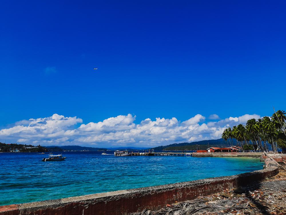 Scenic view of Port Blair shoreline with jetty, boats, palm trees, and a vibrant blue sky in Andaman Islands