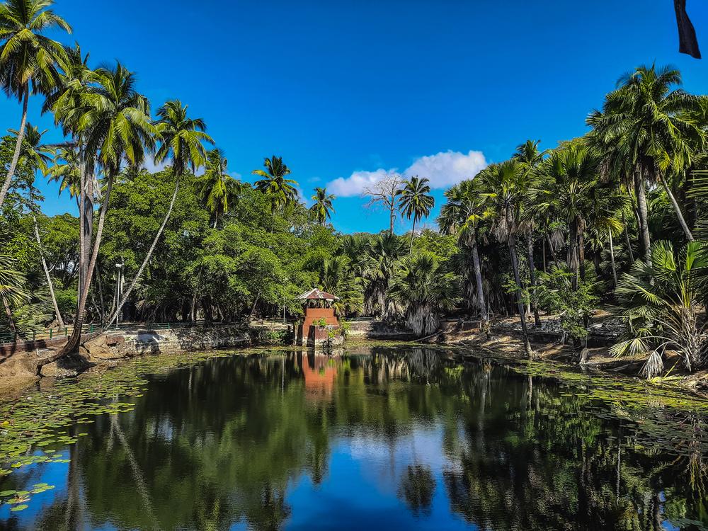 Tranquil pond surrounded by lush palm trees and a red brick gazebo on Ross Island in the Andaman Islands